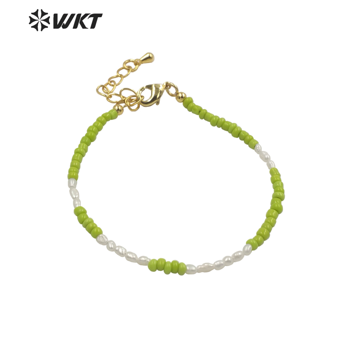 Ceramic Link Bracelet - WT-MPB079 Kadın Zarif İnce 2mm Seramik